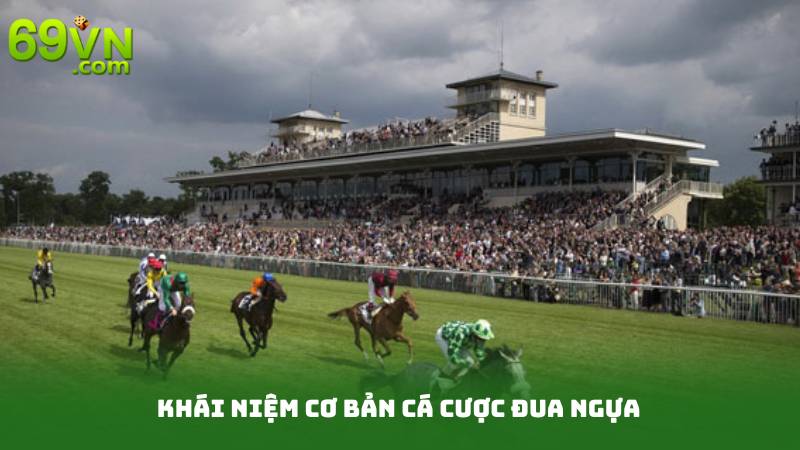 Cá Cược Đua Ngựa Online - Đặt Cược Thông Minh, Thu Lợi Cao 2 Khái Niệm Cơ Bản Cá Cược Đua Ngựa