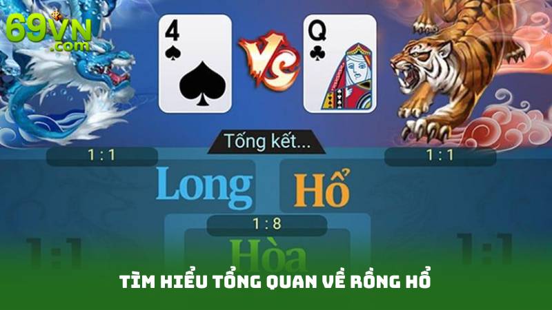 Tìm Hiểu Tổng Quan Về Rồng Hổ